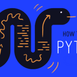 Understanding Polymorphism in Python